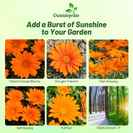 Outsidepride New Day Orange Gazania Seeds for Planting – 25 Pcs Perennial, Low-Maintenance, Drought-Tolerant Ground Cover Seeds for Vibrant Summer & Fall Flowers, Great for Outdoor Gardens
