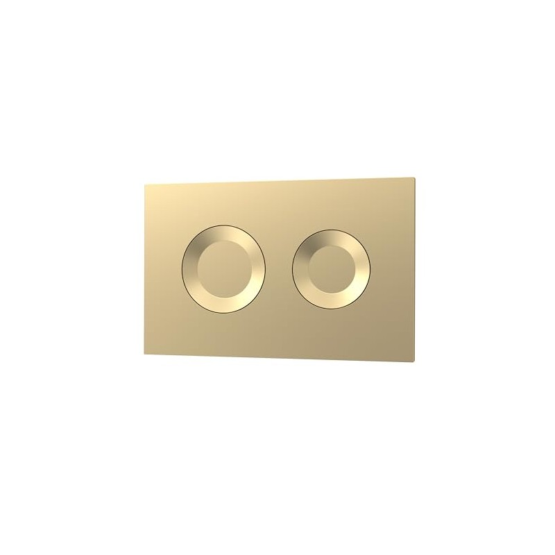nuie XTY009PR8 Bathroom Accessories Modern Dual Flush Plate with Round