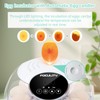 Egg Incubator for Hatching Chicks, Holds 12 Eggs, Automatic Egg