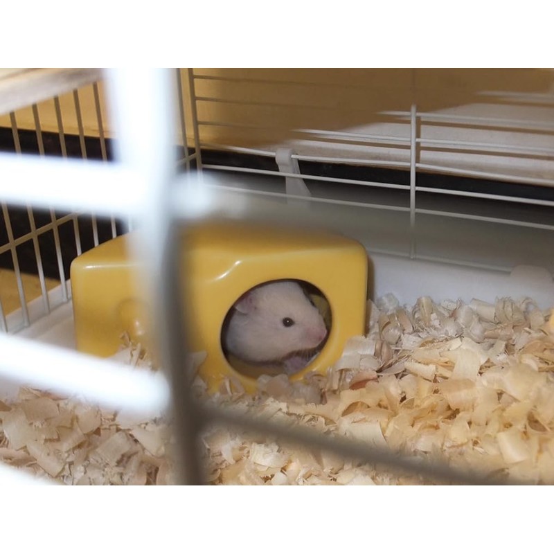 Hamster House, Pottery, Hamster Bed, Hideaway, Cool, Summer, Cooling, Cooling