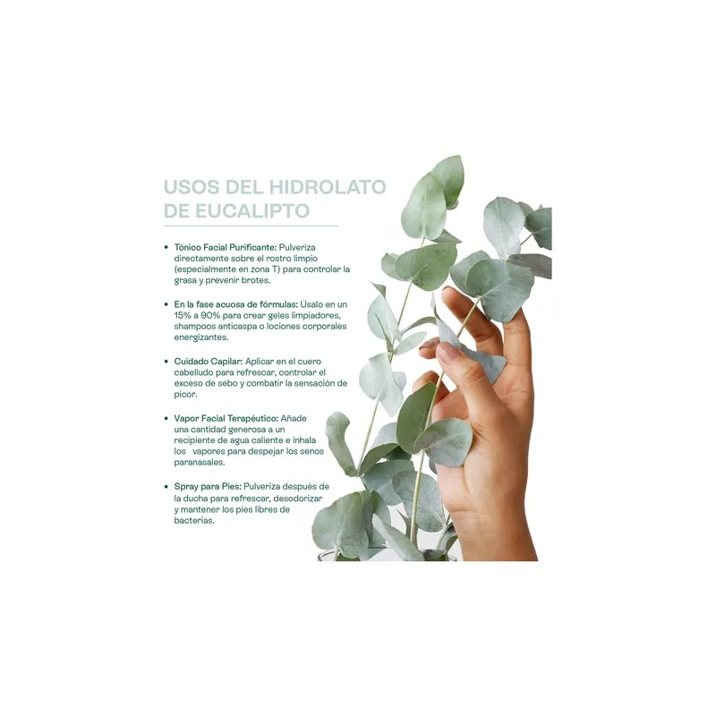 Hidrolato De Eucalipto Puro Refrescante, Astringente 500 Ml