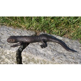 Unbekannt Bronze Salamander Lizard Reptile Exotic Sculpture Garden Figure Home Decoration 17 x 2 x 8 cm