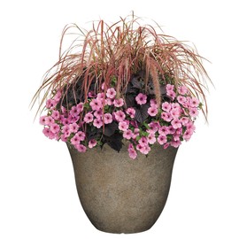 Classic Home and Garden Patio Pot Honeysuckle Planter, 15 Inch, Fossil