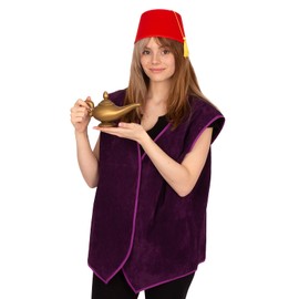 Tigerdoe Arabian Prince Costume – Street Rat Costumes for Men –Men's Arabian Folk Hero Costume - Magic Genie Lamp, Purple Vest and Hat