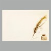 Gakken Staful Envelope Twilight Quill Pen JD04029