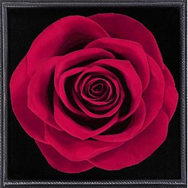 SUOHINAO Rose Mother's Day Gift Kit, Mother's Day Gifts Eternal Rose Gifts for Mum, Mother's Day Anniversary Beast Roses Gifts for Women Birthday Mum Mother's Day Gift, Metal