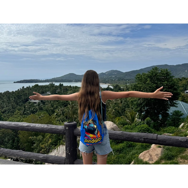 pindaloo cool Drawstring Backpack Bag - Blue 2 different sides