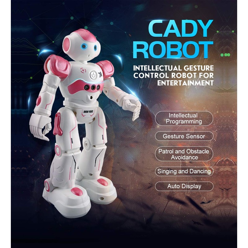 Pup Go Kids Remote Control Smart Ai Robot Toy, Singing