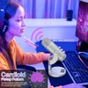 ZealSound - Micrófono de podcast para PC, micrófono USB con