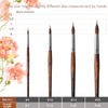 Watercolor Brushes Professional, Fuumuui 4Pcs Extended Needle Point Brushes Synthetic