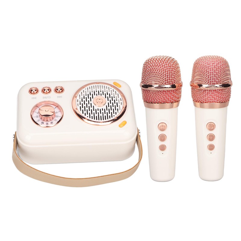 Karaoke Machine Multifunction Enhanced Bass 6 Modes Portable Bluetooth PA