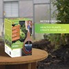Bio Green HM Hydro Max S System - Plant Watering