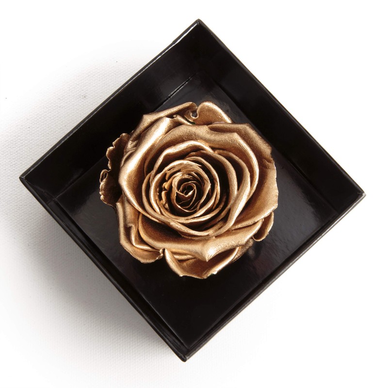 Infinity Rose Preserved Rose Box I Love You Gift for