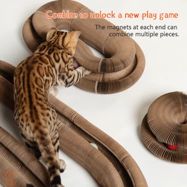 CusieryMax Cat Ball Adventure The Ultimate Interactive Mental & Physical Exercise for Indoor Cats
