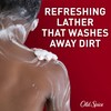 Old Spice Refreshing Body Wash for Men, 3X Defense, 24/7