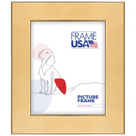 Frame USA 16x20 Picture Frame, Gold, Stainless Series, Wall Hanging Frame with High Clarity Plexiglass