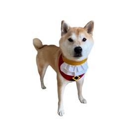 ComfyCamper - Disfraz de pirata para perros, talla XS XXL con cuello divertido para cosplay, disfraz de capitán de barco, Halloween, L
