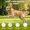 KISFLY Hip & Joint Chews for Senior Dogs – Advanced