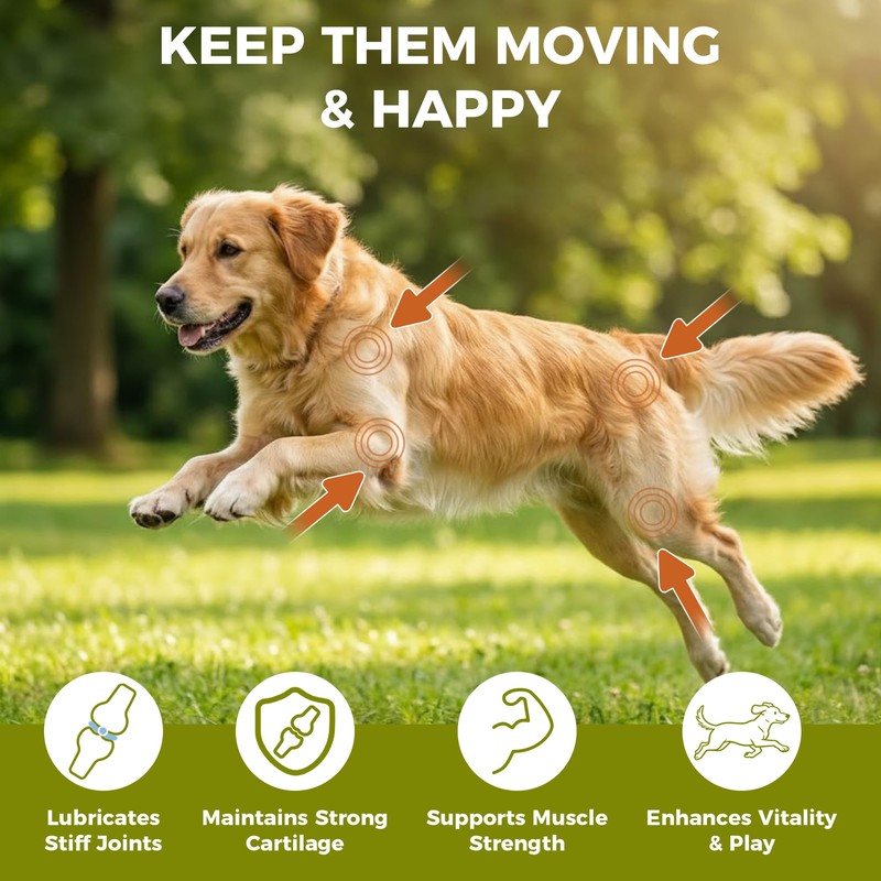 KISFLY Hip & Joint Chews for Senior Dogs – Advanced
