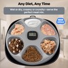 Automatic Timer Pet Feeder, Wet Food Auto Pet Food Dispenser