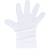 No.3061 Ev Care Silky Gloves, Disposable Gloves, Translucent, Boxed, LL