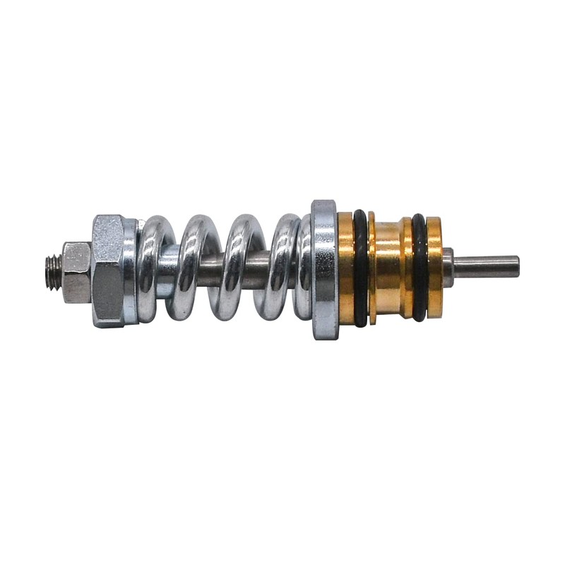 Rebuiman 310924003 Unloader Valve kit Fit for Coleman Features, for