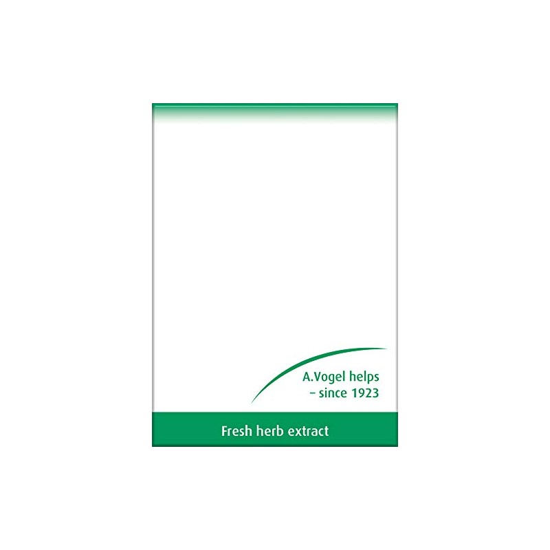 A.Vogel Ginkgo Biloba Tablets | Food Supplement | Extract from