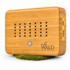 Premium Birdsong Box Made of Real Solid Bamboo Wood -