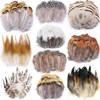 200pcs 10 Style Natural Feathers Assorted Mixed Feathers for Dream