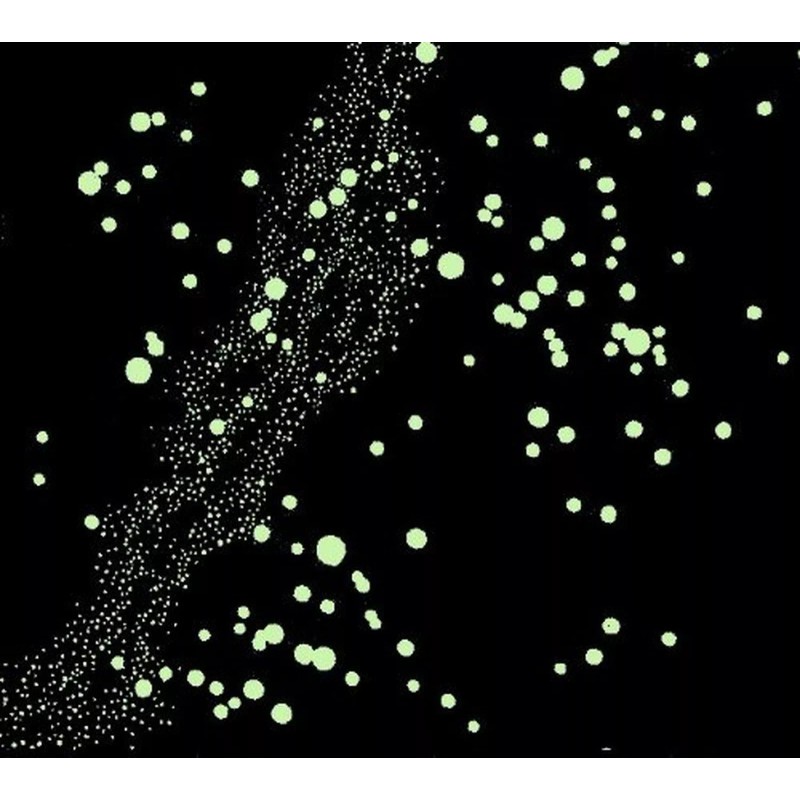 Star The Constellations Glow-in-The-Da