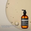 Aesop Volumising Shampoo, 16.9 Ounce