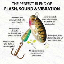 Panther Martin PMH_4_TBK Classic Holographic Spinners Fishing Lure - Tiger Black Holographic - 4 (1/8 oz)