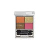 Lunasol EX01 Contrasting Color Eyes Shining Sun Eyeshadow