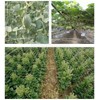 Trellis Netting5 x 15FT, 5 x 30FT,Polyester Plant Trellis Netting,