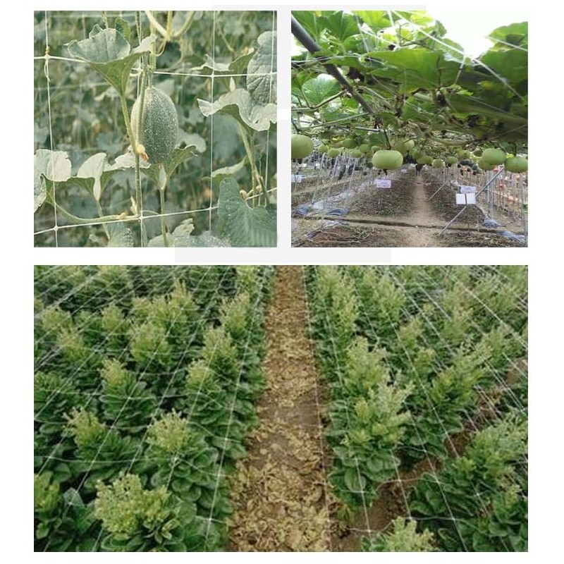 Trellis Netting5 x 15FT, 5 x 30FT,Polyester Plant Trellis Netting,