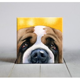 Saint Bernard Watercolor Dog Art Decorative Tile (6 X 6 Framed)