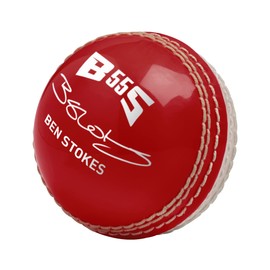 Gunn & Moore Unisex Youth Skills Cricket Training Ball, Red White, Junior UK