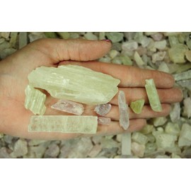 Fantasia Materials: 3 lbs Kunzite Rough Stones from Pakistan