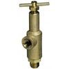 Spraying Systems 6815-1/2-700 1/2" Piston-Type Pressure Relief/Regulating Valve 700 PSI