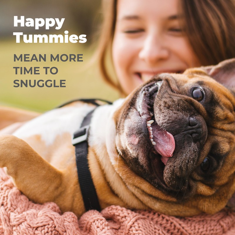 Vetnique Glandex Daily Probiotics for Dogs with Digestive Enzymes and