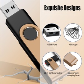 EASTBULL 4GB USB Flash Drive Bulk Thumb Drives 10 Pack with Lanyards USB 2.0 Jump Drive 4GB Memory Sticks Zip Drive Pen Drive for Storage and Backup Gold 10PCS 4GB