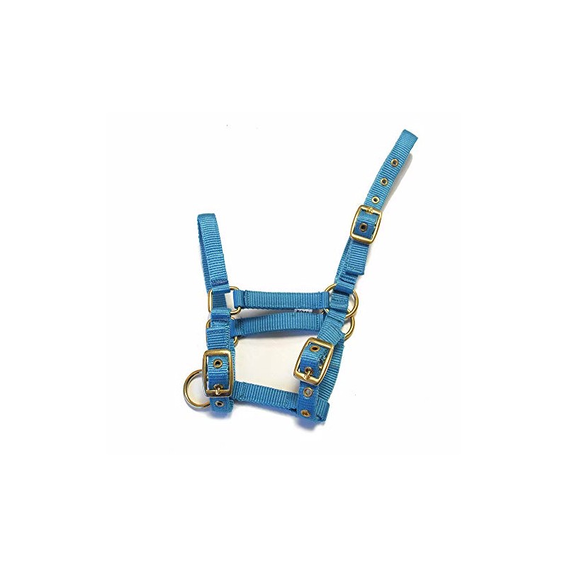 Rhinegold Nylon Foal Headcollar - Turquoise