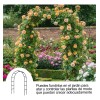 Arco De Boda Decoracion Plantas Fiesta Metal Con Base 2.4m