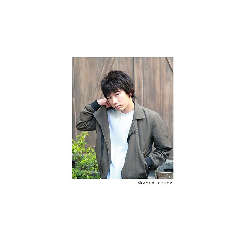 Priscilla MAN All Wig, Stylish Short, MA-100, Heat Resistant, AB,