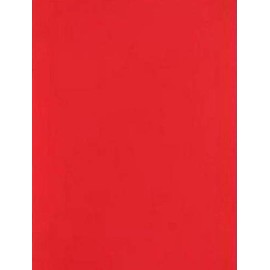 A4 Coloured Papers 80gsm Arts Craft Sheets Bright Pastel Neon Laser Inkjet Printers 100 Sheets (Bright Red)