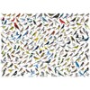 EuroGraphics The World of Birds (1000 Piece) Puzzle