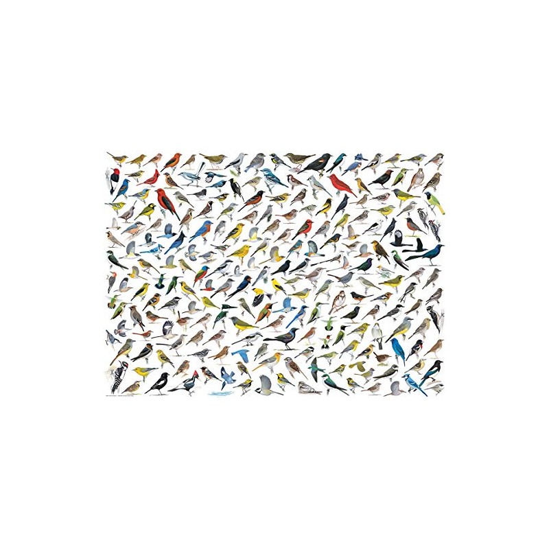EuroGraphics The World of Birds (1000 Piece) Puzzle