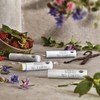 john masters organics lip calm (peppermint) lip balm, 0.1 oz