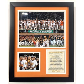 Tennessee Baseball | 2024 CWS National Champions | Framed Photo Collage | 2 Sizes | (12"x15")