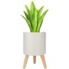 CENPEK Creative Plastic Self Watering Planter Pot With Wooden Tripod